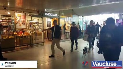 Arrivée de Sophie Turner et Joe Jonas à la gare d'Avignon TGV