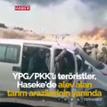 Tarım arazileri yanarken YPG/PKK'lı teröristler halay çekti
