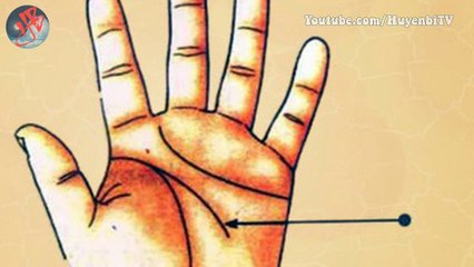 5 đường chỉ tay quan trọng đối với cuộc đời mỗi người