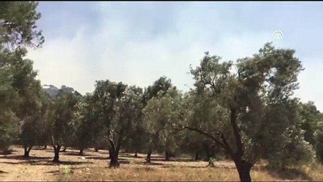 Ormanlık alanda çıkan yangına müdahale ediliyor - BALIKESİR