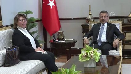 Cumhurbaşkanı Yardımcısı Oktay'ın kabulü