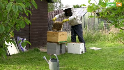 L'Avenir - Accueillir une ruche dans son jardin