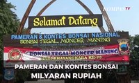 Pameran dan Kontes Bonsai Milyaran Rupiah