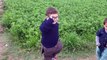 Cute Pathan Ahmed Shah New Video - Funny Pathan Video