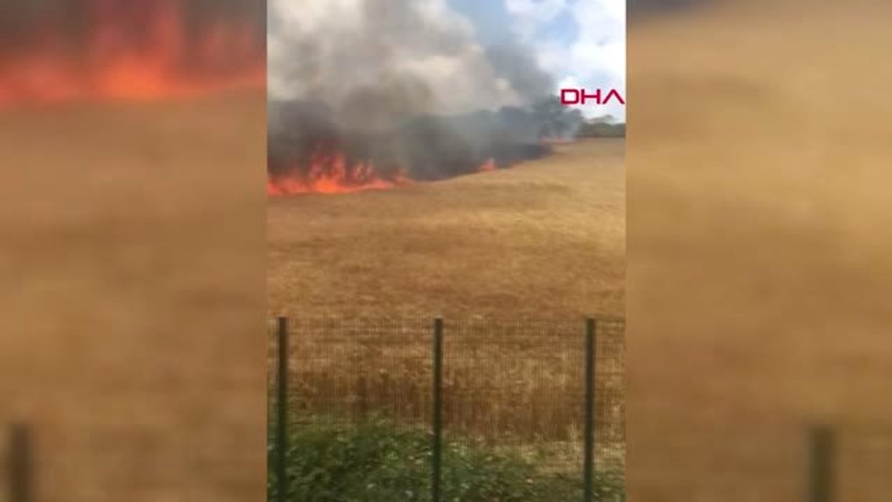 SİLİVRİ'DE 6 DÖNÜMLÜK BUĞDAY TARLASI YANDI