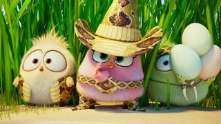 Angry Birds : Copains Comme Cochons - Bande annonce officielle