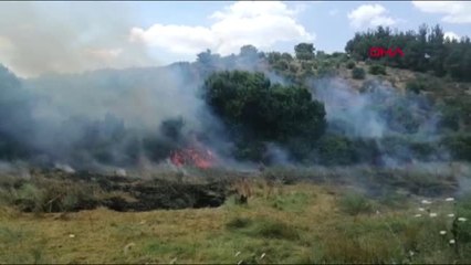 ÇANAKKALE Ezine'de zeytinlik ve ot yangını