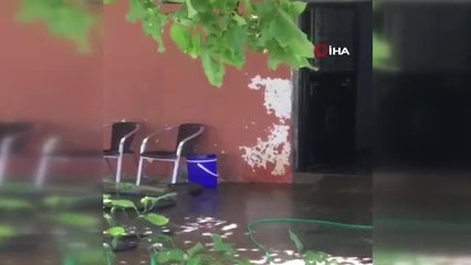 Evden çıkan 2 metrelik yılana tazyikli su ve kürekle müdahale