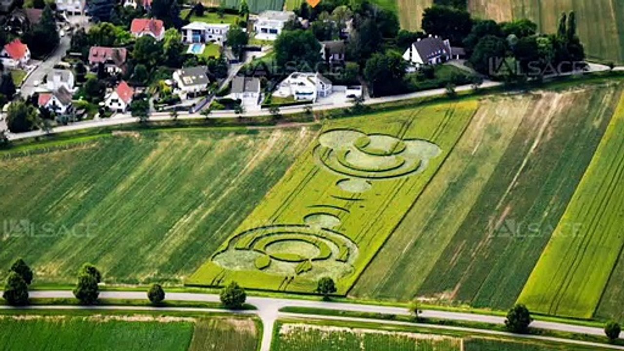 Le mystère des crop circles alsaciens