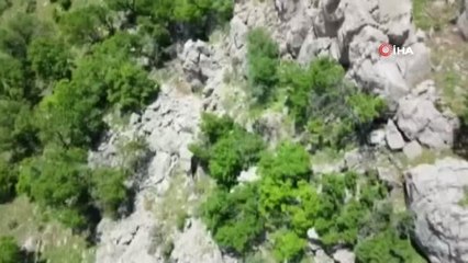 4 teröristin etkisiz hale geçirildiği operasyonda silah ve mühimmatlar ele geçirildi