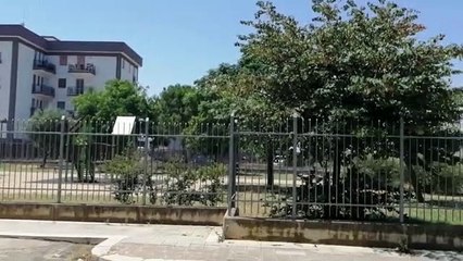 Ad Andria non hanno raccolto l'umido, un cittadino filma tutto per documentare il disagio