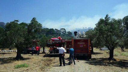 下载视频: GÜNCELLEME - Ormanlık alanda çıkan yangın kontrol altına alındı  - BALIKESİR