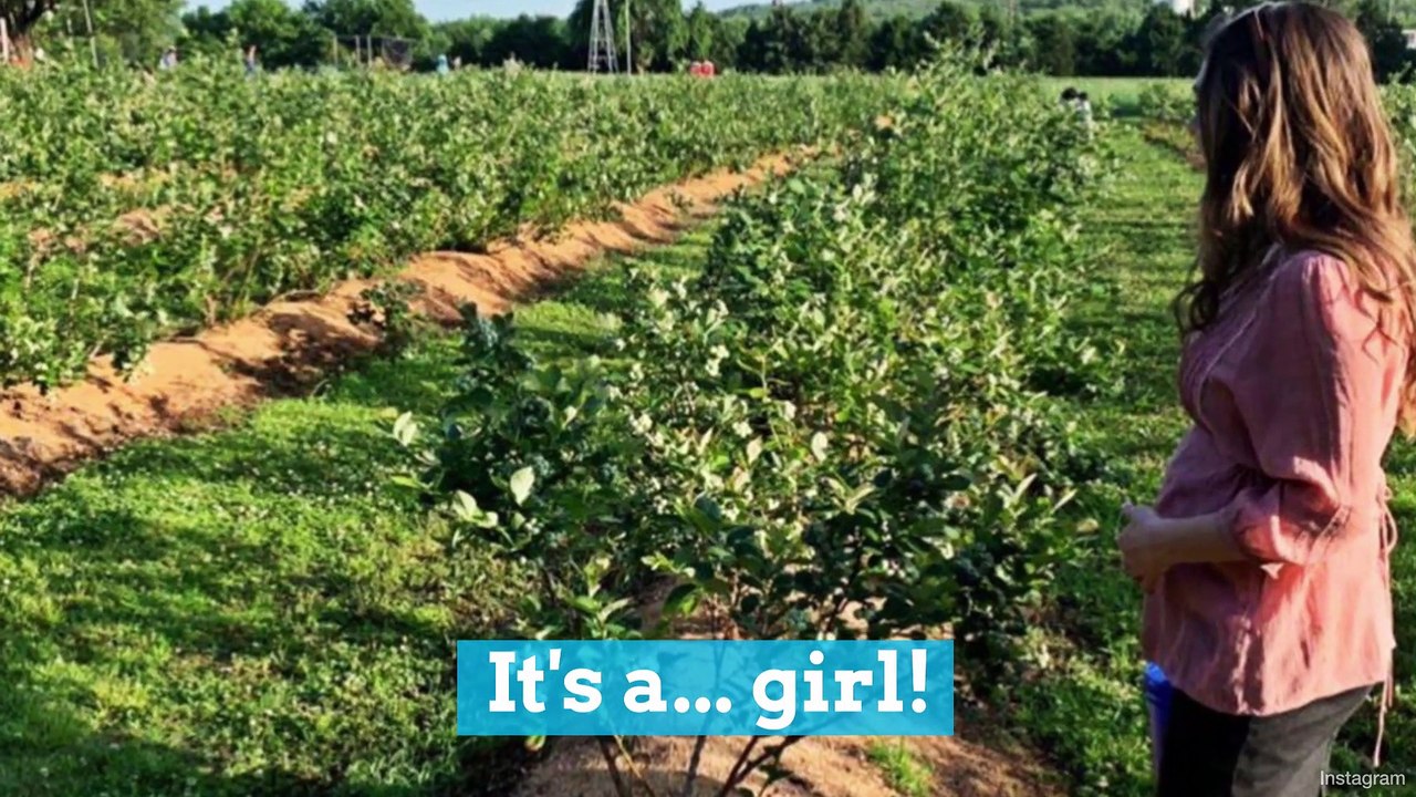 Josiah Duggar and Lauren Swanson Reveal Sex of Baby