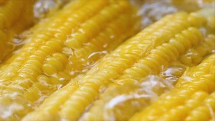 You’re Probably Boiling Corn the Wrong Way