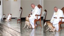 Cão invade igreja durante a missa e não deixa o padre em paz