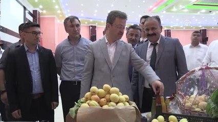 "Iğdır kayısısı tam bir marka haline gelmiştir"