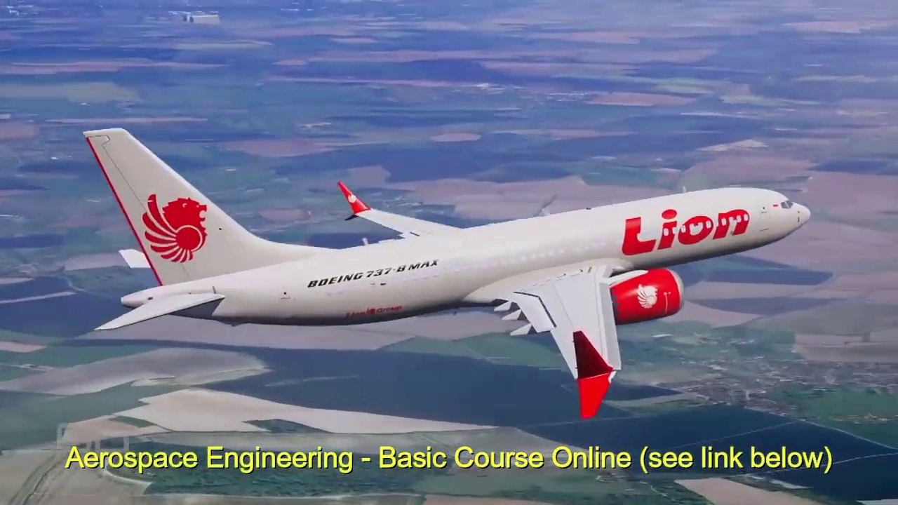 Rogue Boeing 737 8-Max - Documentary