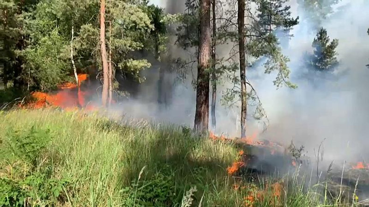 Waldbrand in Brandenburg - Hitze bleibt Deutschland erhalten