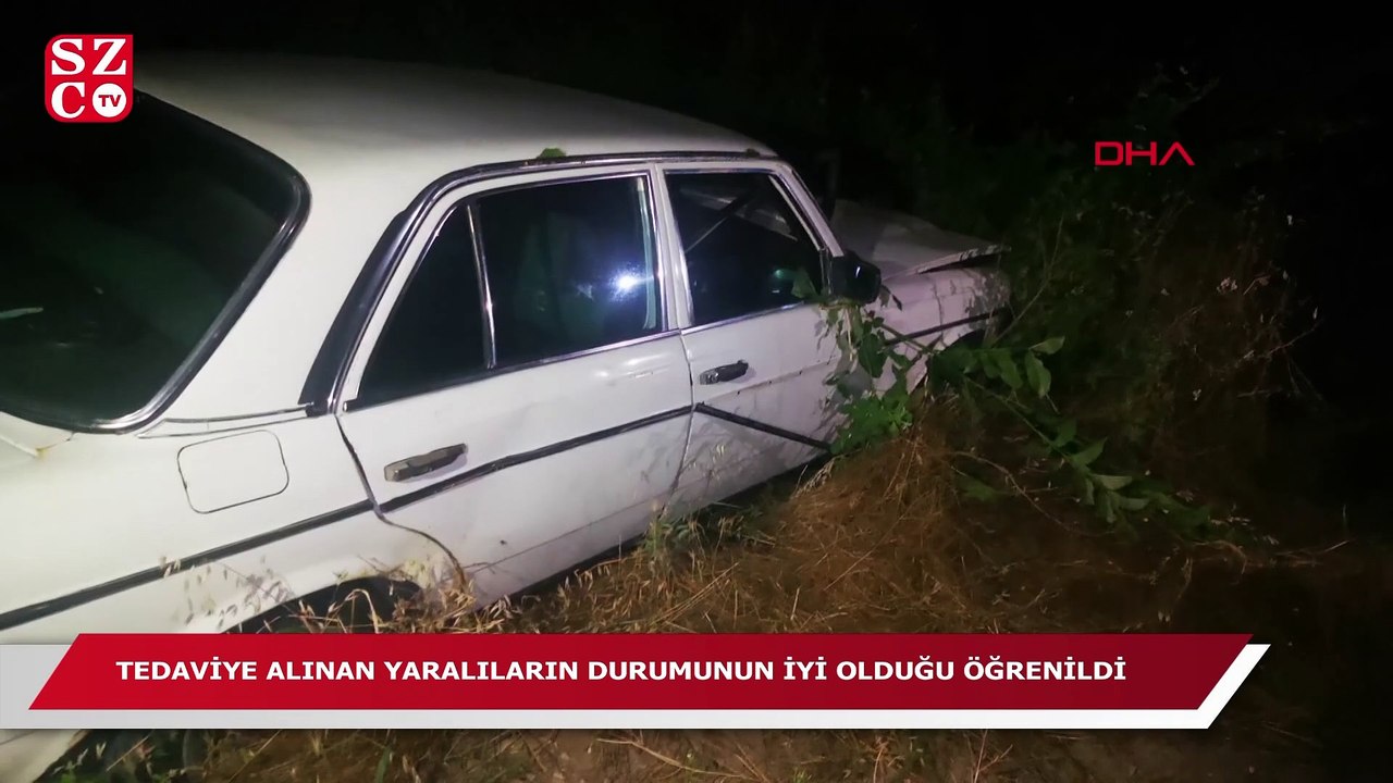 Kayısı bahçesine devrilen otomobildeki 2 kişi yaralandı