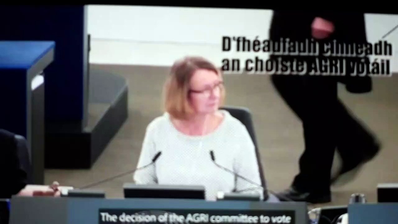 MING'S Wife gets Job with Tulsa teaching migrants their rights