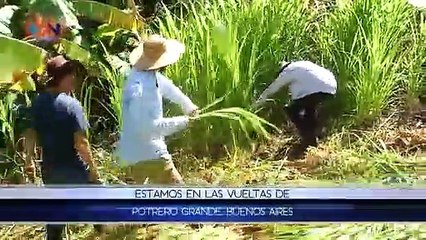 mqn-Ponga a Juank a Bretear- Plataneros-250619