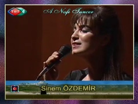 Sinem ÖZDEMİR - Rüzgâr Uyumuş Ay Dalıyor Her Taraf Issız