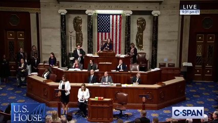 Rep. Escobar Brings The House Down, Erupting In Chaos - Border Aid Funding