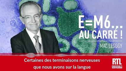 E=M6... au carré ! - Les piments brûlent-ils vraiment ?