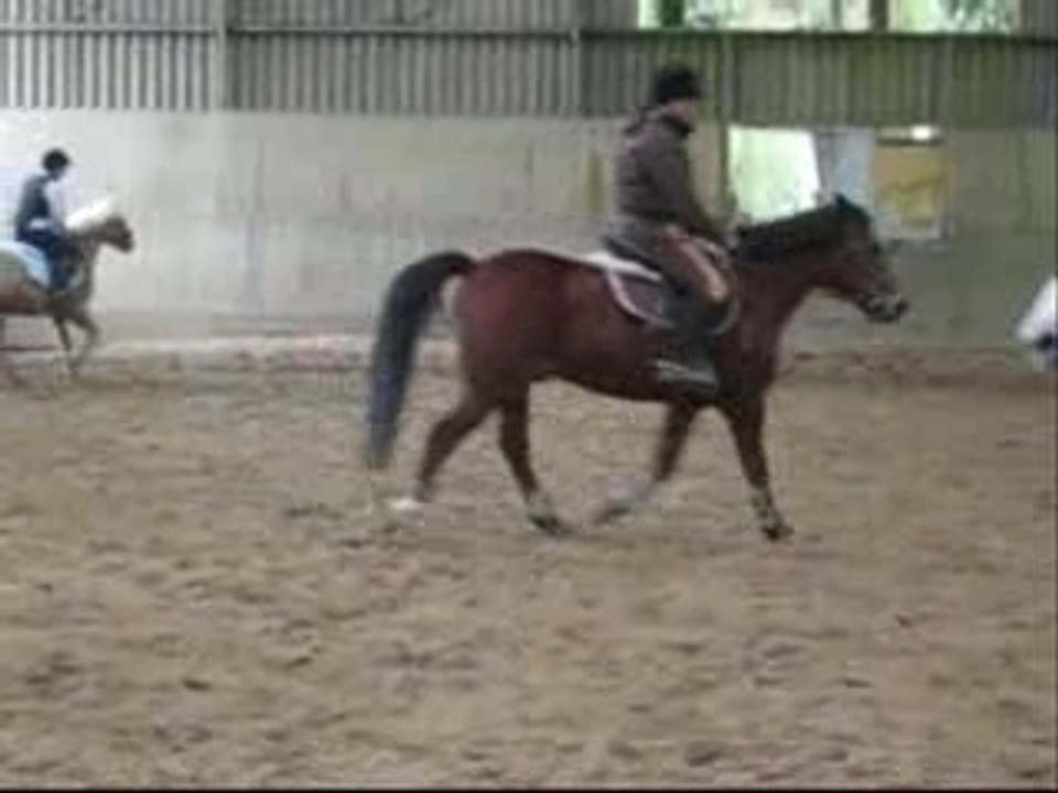 Concours Lothéa