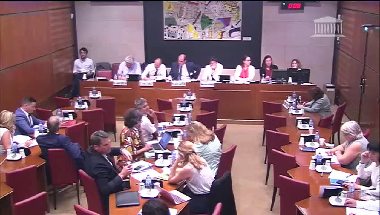 Commission des affaires culturelles : audition de l’Agence nationale du sport - Mardi 25 juin 2019