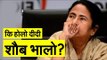 Mamata Banerjee had had the most glorious meltdown in the history of meltdowns