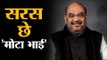 Hit lists, crackdown, nabbing, delimitation - Amit Shah has turned things around in Home Ministry