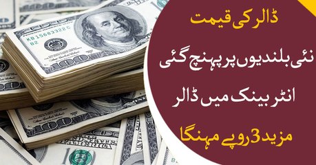 Dollar reaches new high, touches Rs 160 against the rupee
