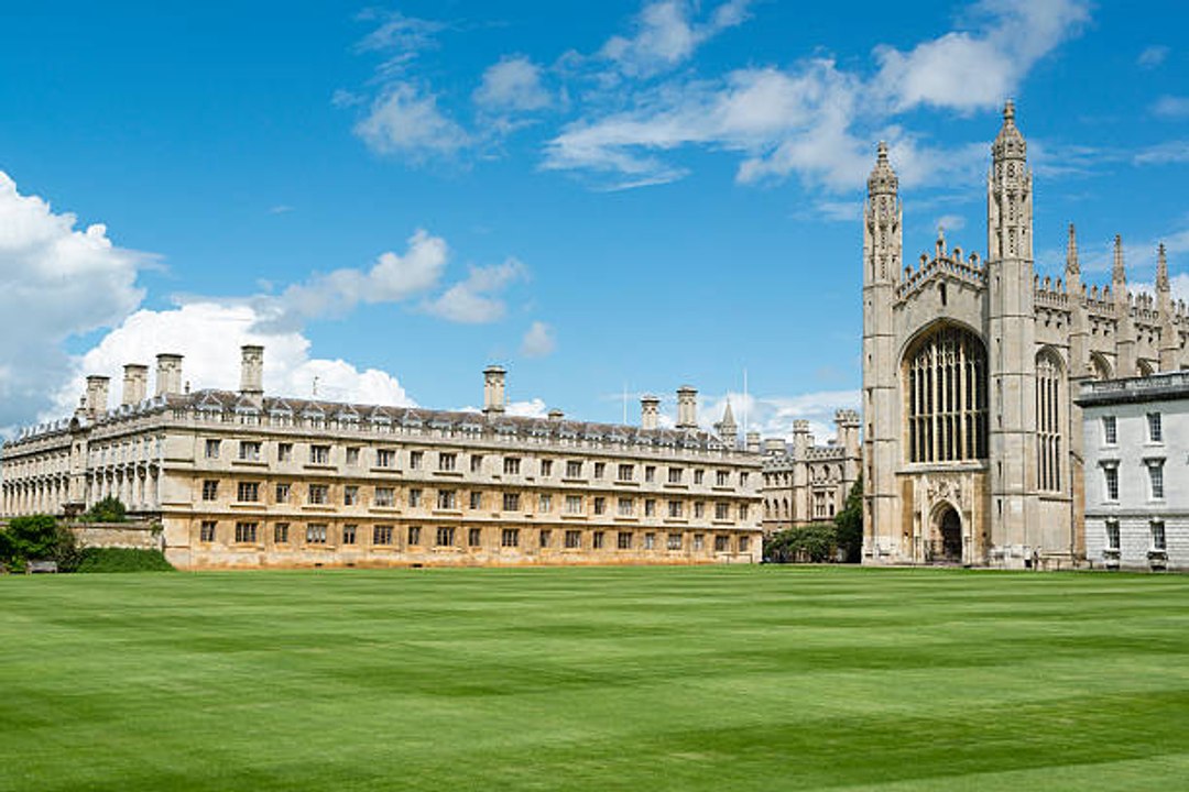 From which universities do millionaires come?
