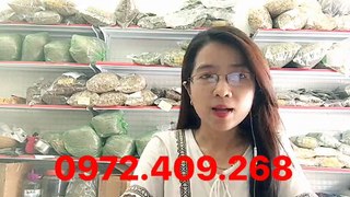 CÂY DÂY THÌA CANH CÓ CHỮA DỨT BỆNH TIỂU ĐƯỜNG KHÔNG?