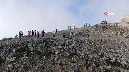 Toplanan uğur böceklerini görmek için bu Uludaz tepesine akın ediyorlar