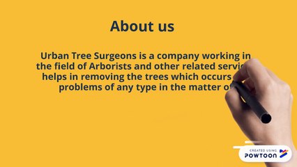 Keep up with Tree Services in North Shore