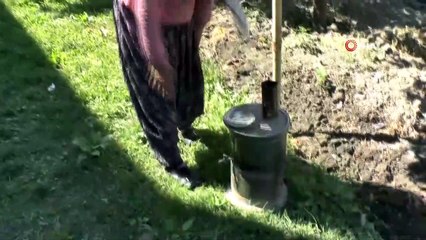 Kadın çiftçi, tarım desteğiyle örnek oluyor