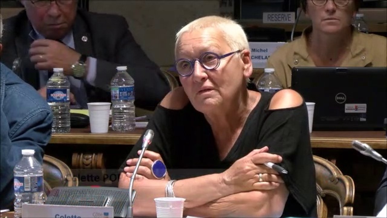 Colette POPARD. Budget supplémentaire 2019