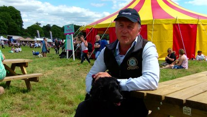 Molly The Cat Detection Dog!