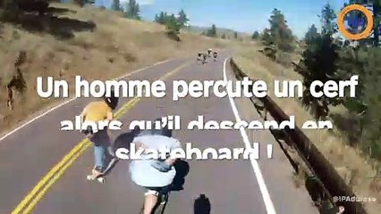 Il percute un cerf alors qu'il fait une descente en skateboard