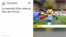 Coupe du monde féminine 2019 : Le costume de la mascotte Ettie a été dérobé au Parc des Princes