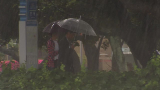 [날씨] 12년 만에 '전국 동시 장마'...제주·남해안 호우 / YTN