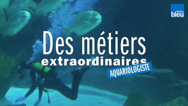 Ugo, aquariologiste à l'Aquarium de Paris au Trocadéro