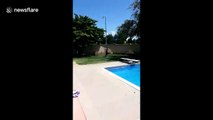 Colorado kid faceplants onto diving board while attempting front flip