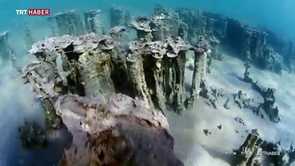 Van Gölü'nün gizemli dünyasına yolculuk