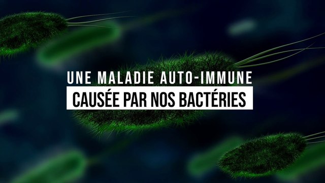 Une maladie auto-immune causée par nos bactéries