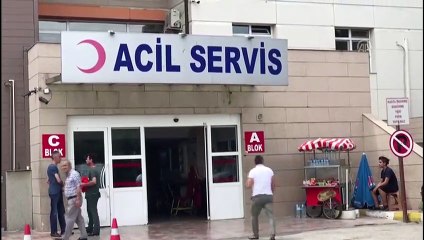 Düzensiz göçmenleri taşıyan araç kaza yaptı (4) - EDİRNE