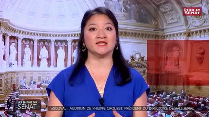 Audition de Philippe Crouzer, président du directoire de Vallourec - Les matins du Sénat (26/06/2019)