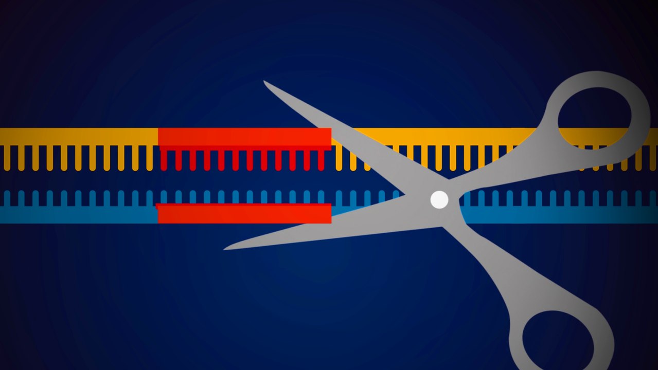 CRISPR/CAS-9: Die Genschere, die alles verändert